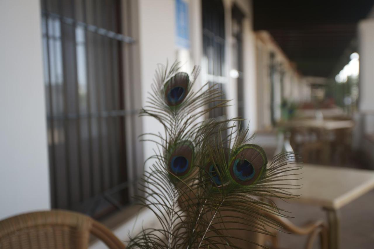 Santa Aldea Del Rocío Pensión